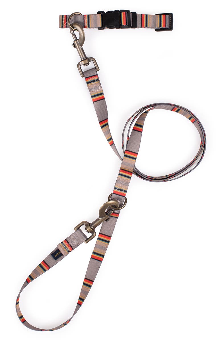 Pendleton Vintage Camp Adventure Leash, Alternate, color, Mineral Umber