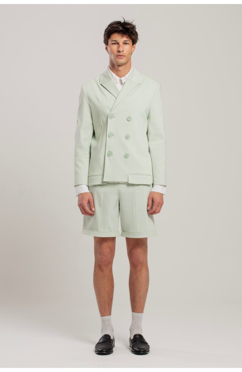 PCFG Free Heaven Oversized Blazer, Alternate, color, Light Green
