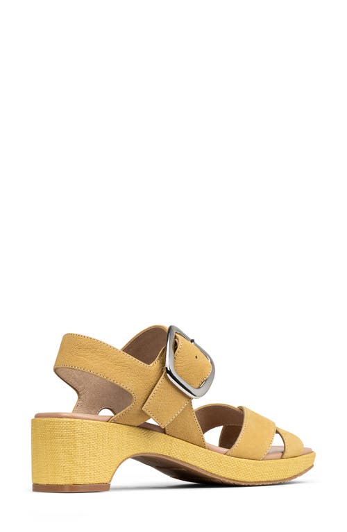 DONALD PLINER DONALD PLINER ROLLI BLOCK HEEL SANDAL 