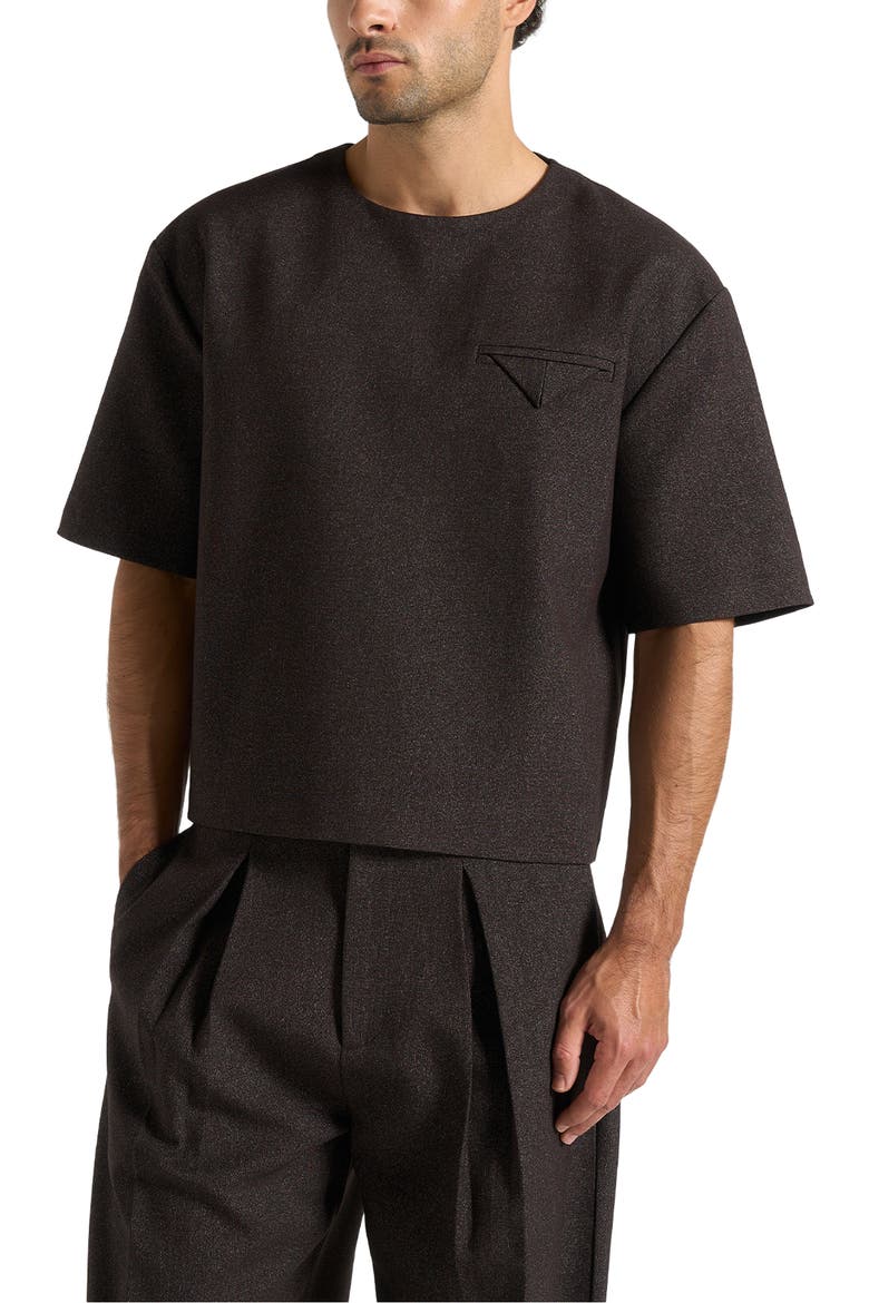 Leon Boxy Cropped Hatched T-Shirt, Main, color, Brown