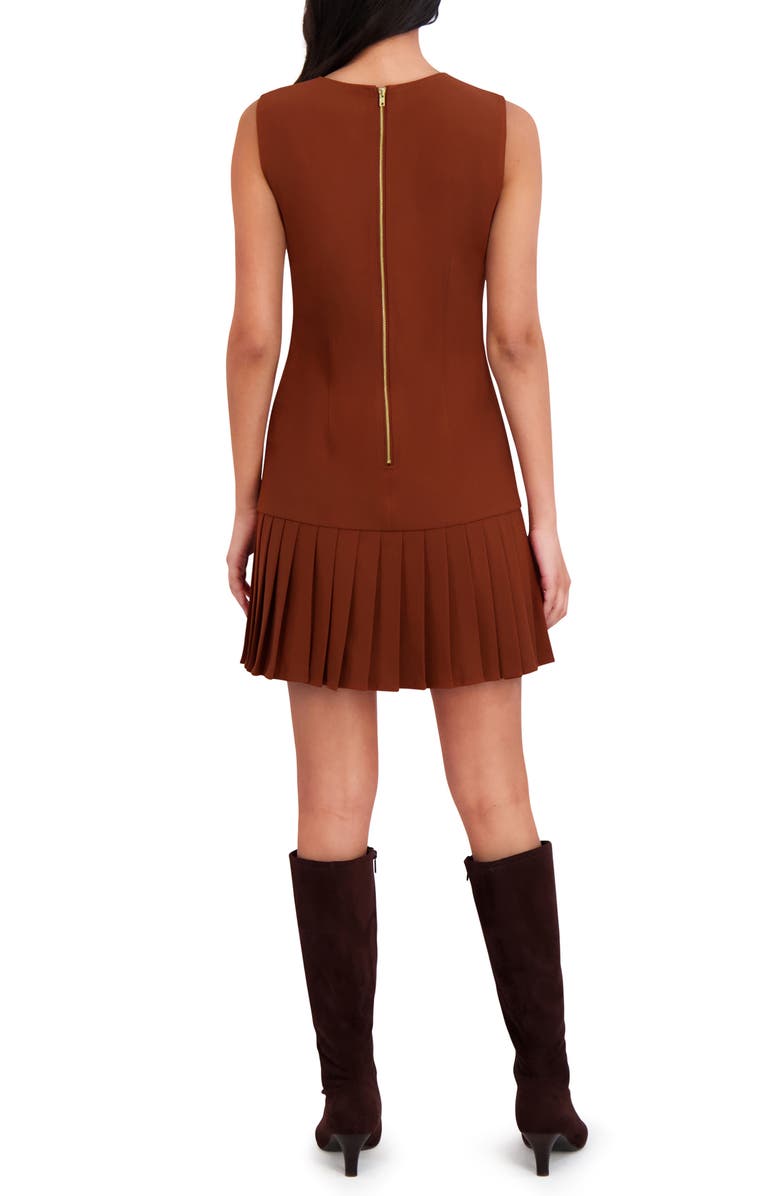 London Times Sleeveless Pleated Drop Waist Dress, Alternate, color, Cedar Brown