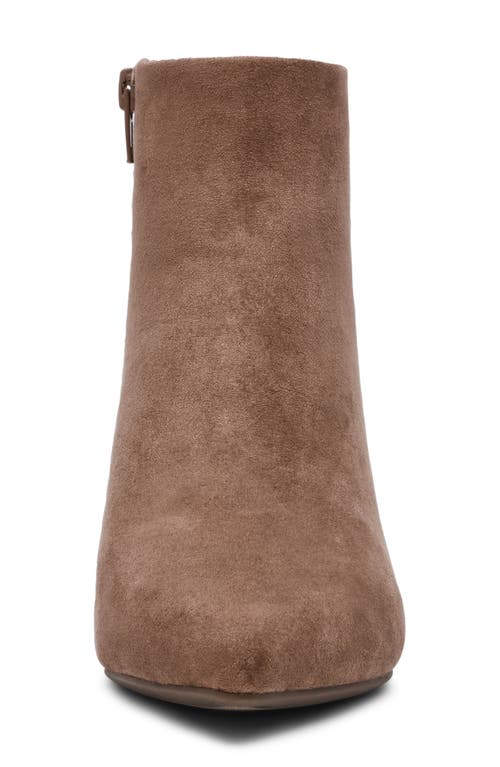 Anne Klein Francesca Kitten Heel Bootie In Brown