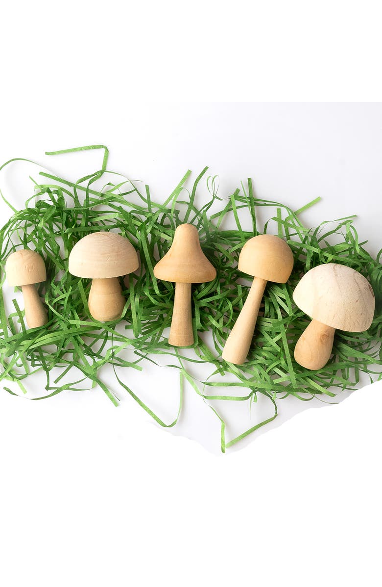 Journey of Something Paint Your Own Wooden Mushrooms, DIY Craft Kit, Kids 6+, Alternate, color, Multicolored