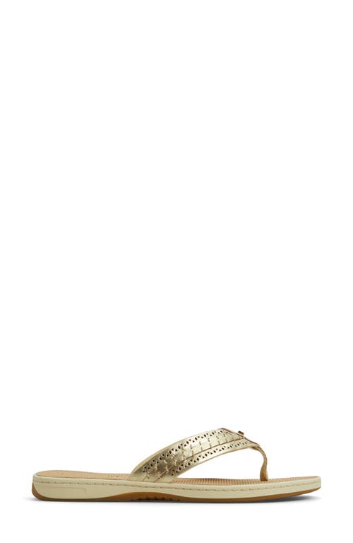 SPERRY SPERRY SEAFISH 3 PERFORATED FLIP FLOP