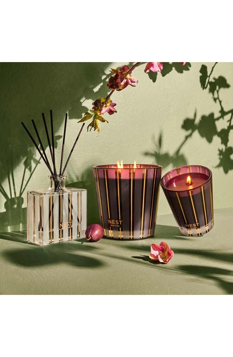 NEST New York Autumn Plum Reed Diffuser, Alternate, color, 