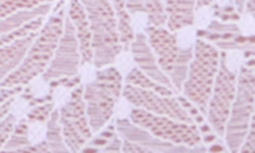 Simone Perele Comete Lace Tanga