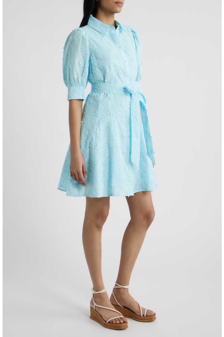 Larkyn Cotton Blend Shirtdress, Alternate, color, DAY DREAM BLUE MONARCH