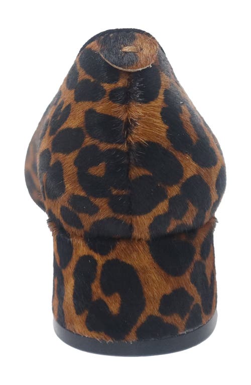 Gentle Souls Gardena Pointed Toe Pump In Animal Print