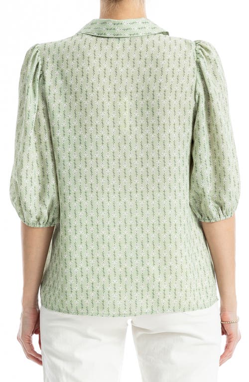Max Studio Elbow Sleeve Top In Ecru/olive