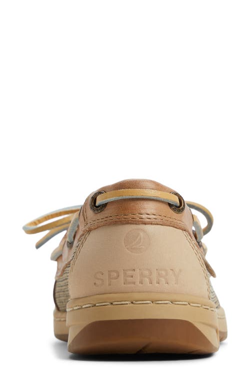 Sperry Angelfish Loafer In Brown