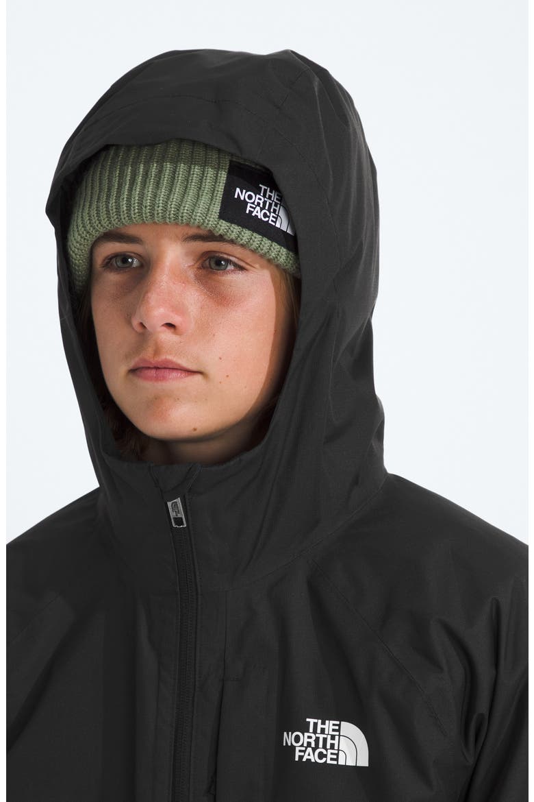 Perrito 4-in-1 Hooded Jacket, Alternate, color, TNF BLACK