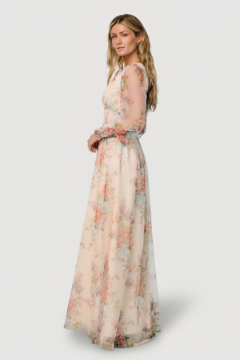 alma floral print tulle maxi dress Chiffon Available in sizes XS3XL with extended sizing options Women's Baltic Born Layla Tulle