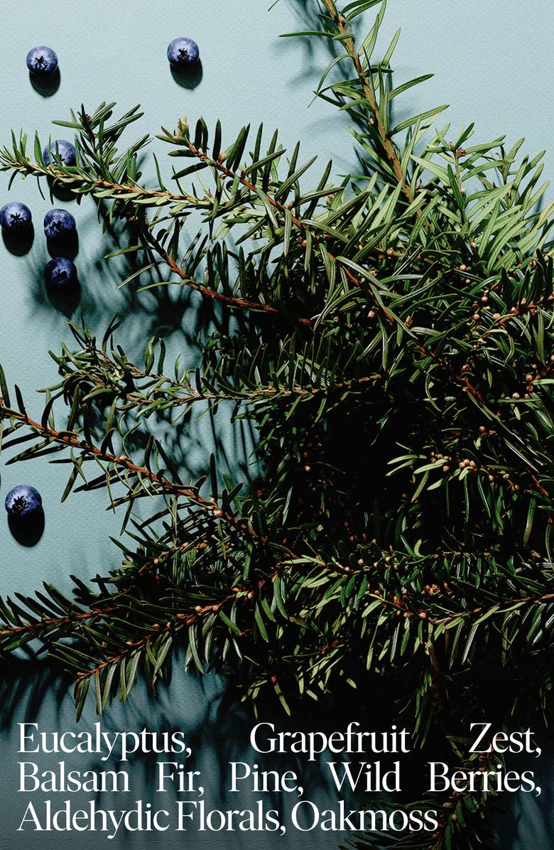 SIBLINGS No 04 Balsam Refillable Candle, Alternate, color, Eucalytpus Balsam