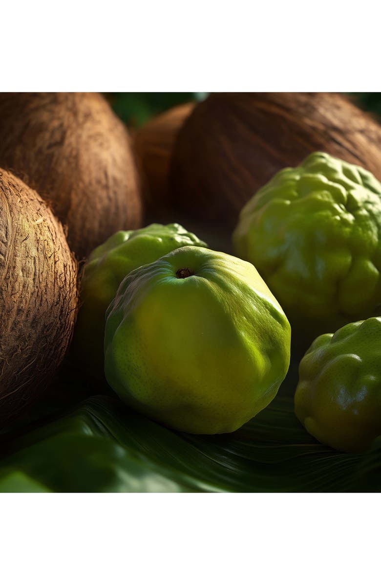 House of Sillage X Disney<sup>®</sup> Mickey Mouse & Minnie Mouse Fragrance Set, Alternate, color, 