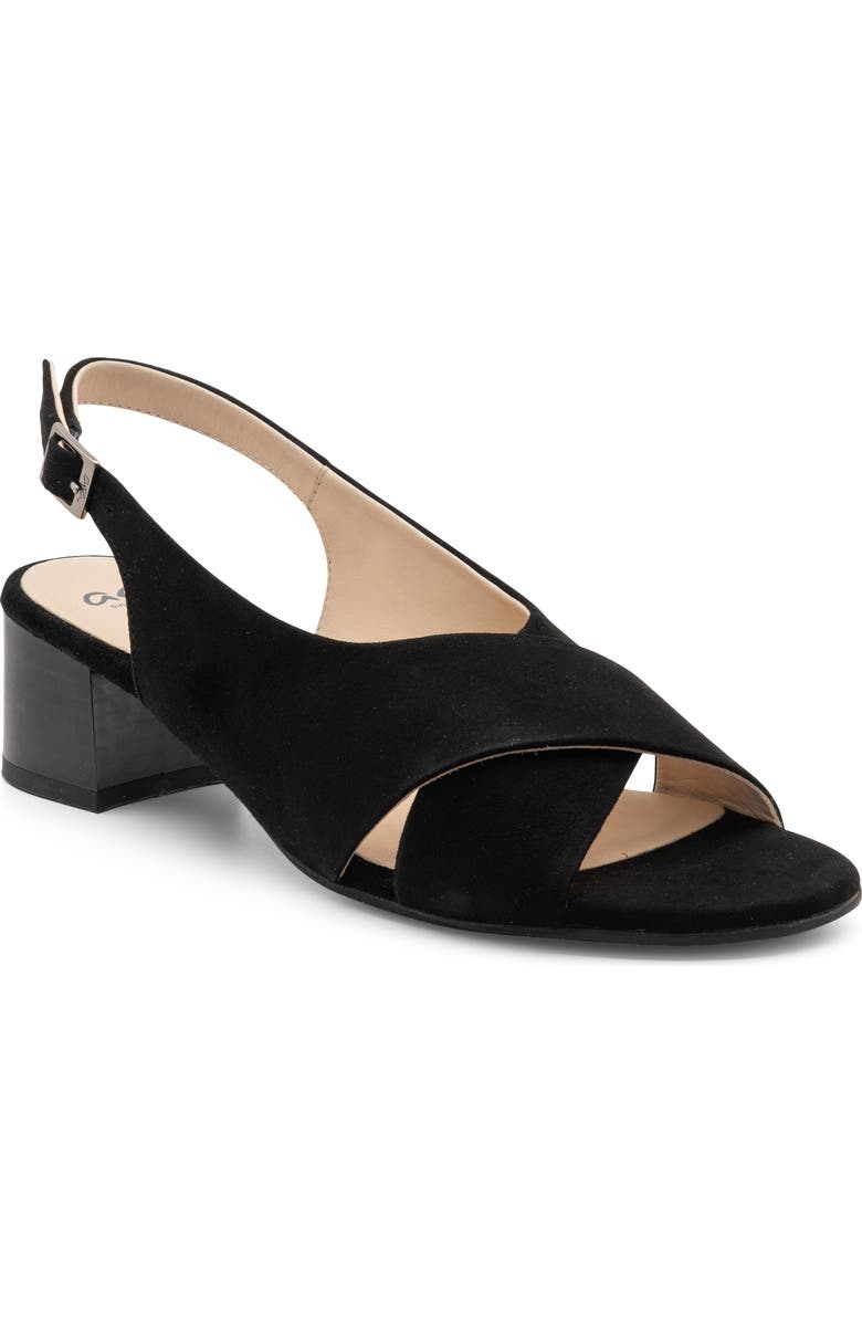 ara Petunia Slingback Sandal, Main, color, Black Suede