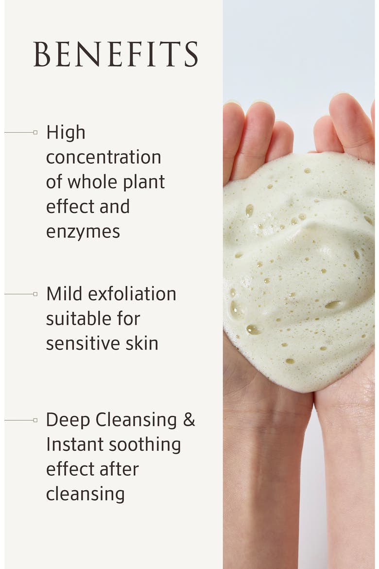 Whole Plant Effect Cleansing & Exfoliant, Alternate, color, NO COLOR