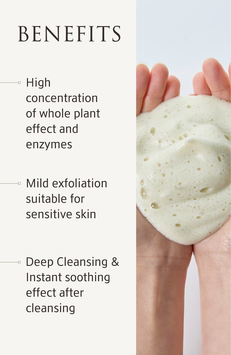 YUNJAC Whole Plant Effect Cleansing & Exfoliant, Alternate, color, 