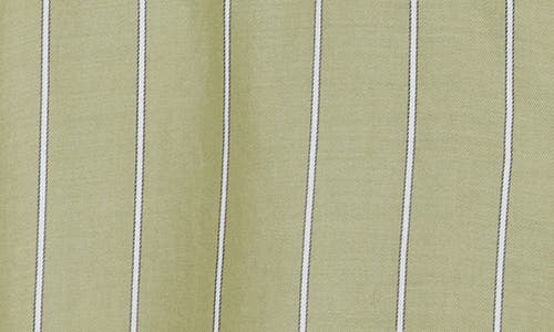Pistola Irene Stripe Shirt In Green
