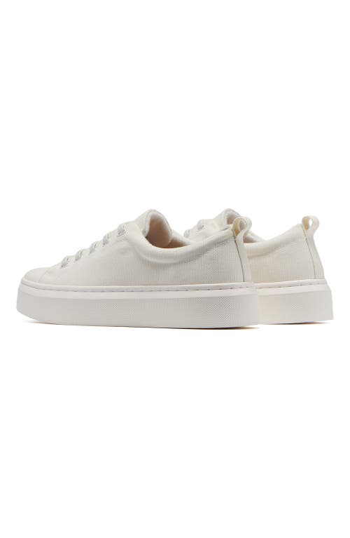 Abeo Jumpstreet Bungee Sneaker In White Canvas - Regular
