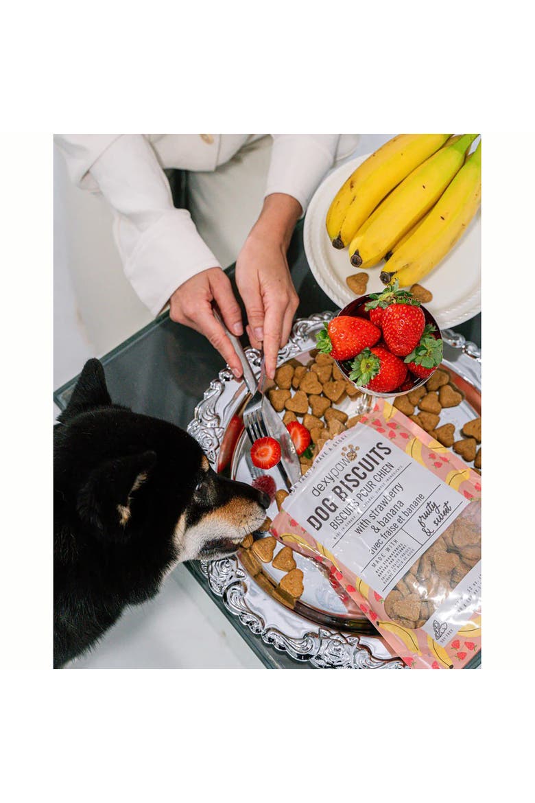 Strawberry, Banana & Coconut Dog Biscuits 12Oz Natural Pet Treats, Alternate, color, Brown