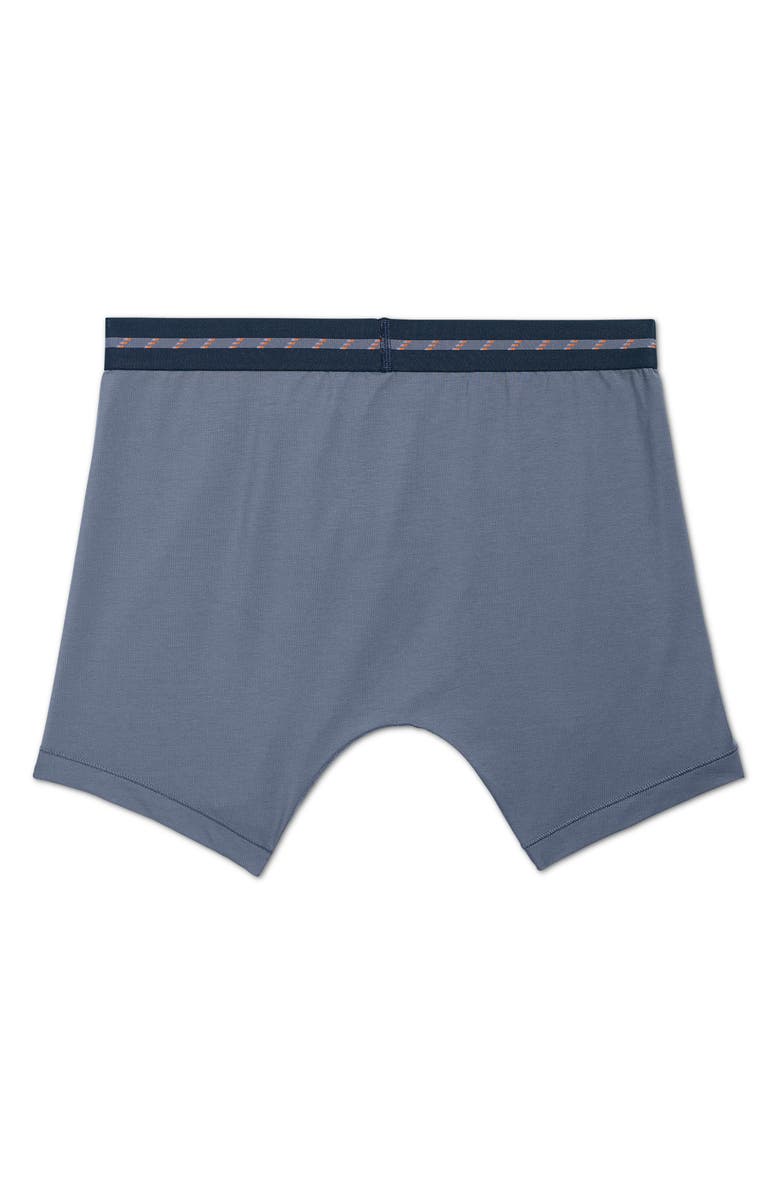 Bombas Cotton Modal Boxer Briefs, Alternate, color,
