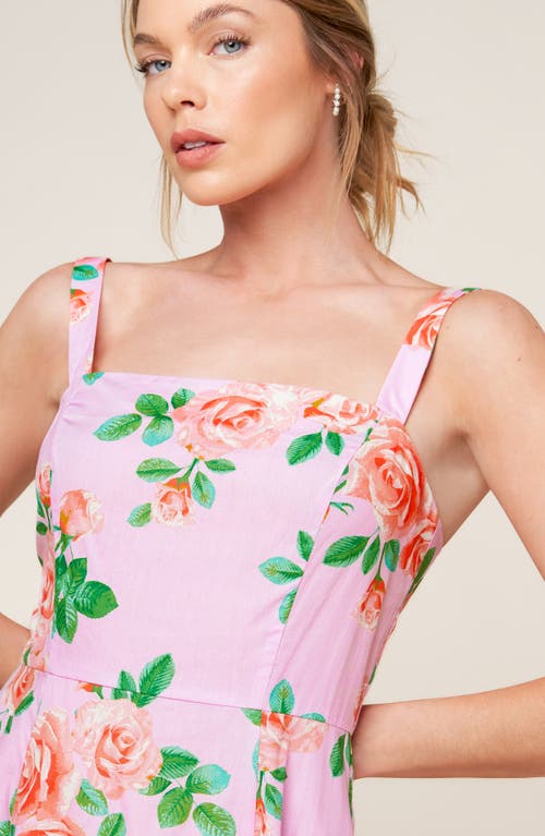 Flying Tomato Rose Print A-line Midi Dress In Blush