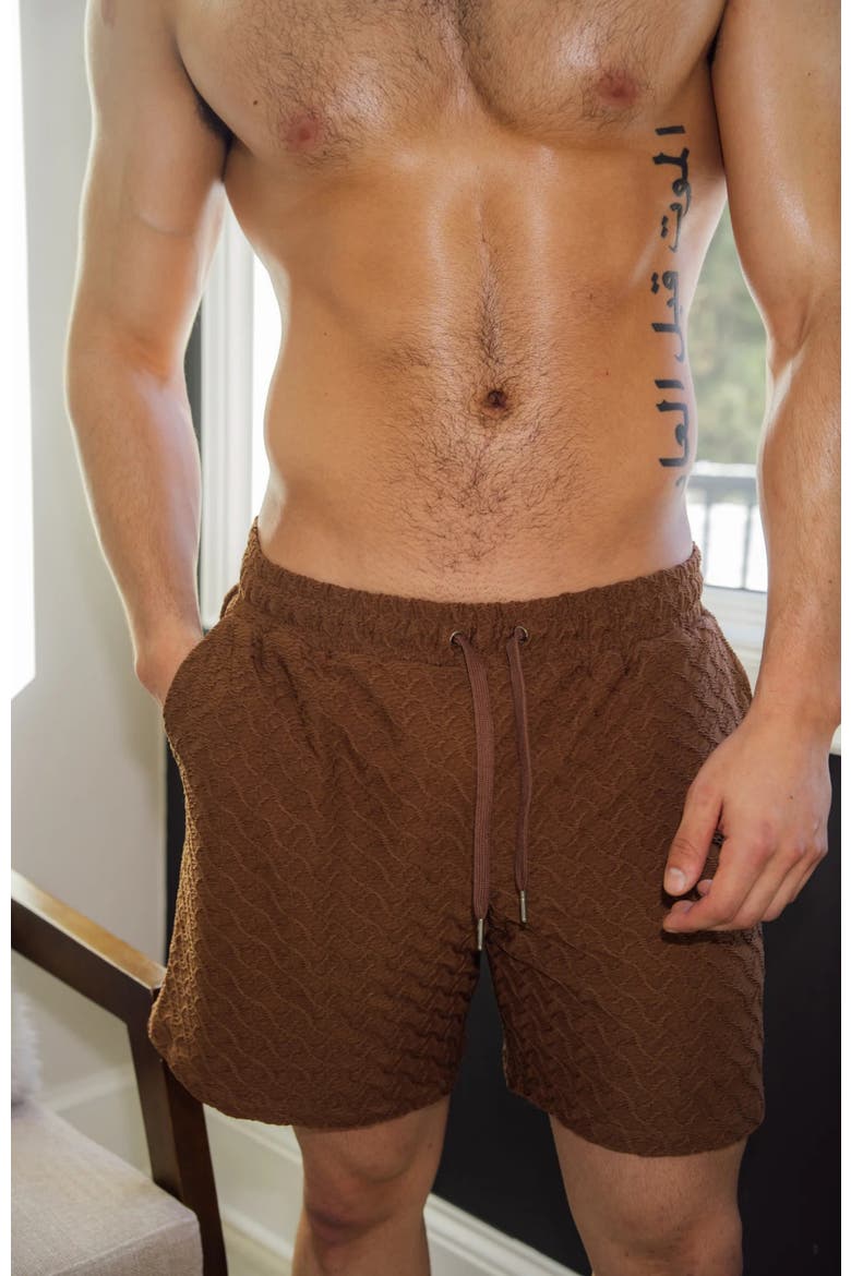Miles Swim Shorts, Alternate, color, Brown Mosaic