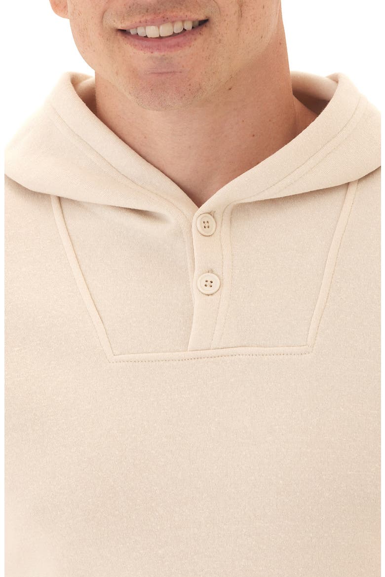 Kieran Fleece Pullover Hoodie, Alternate, color, TAPIOCA