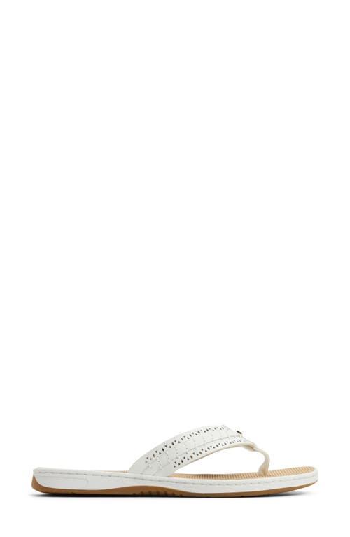 SPERRY SPERRY SEAFISH 3 PERFORATED FLIP FLOP