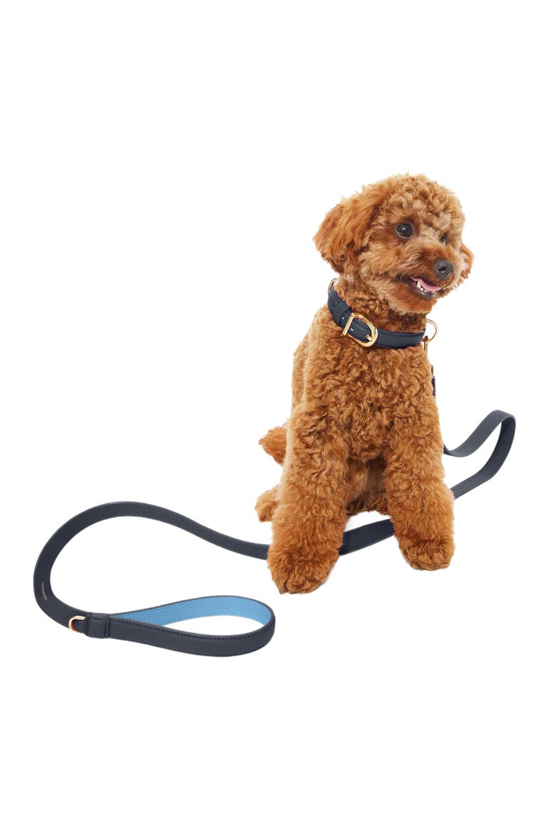 MAISON de SABRÉ Leather Dog Leash, Alternate, color, 