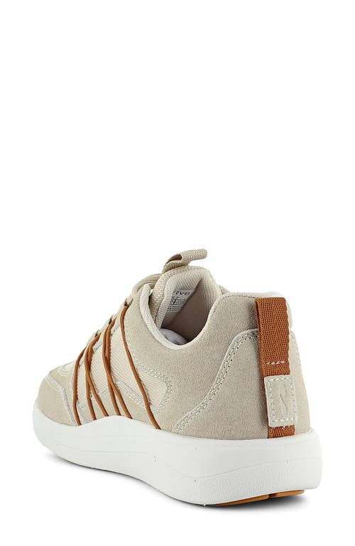Strive Lisbon Sneaker In Neutral