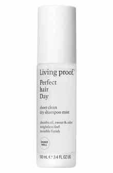 Perfect hair Day™ Sheer Clean Dry Shampoo