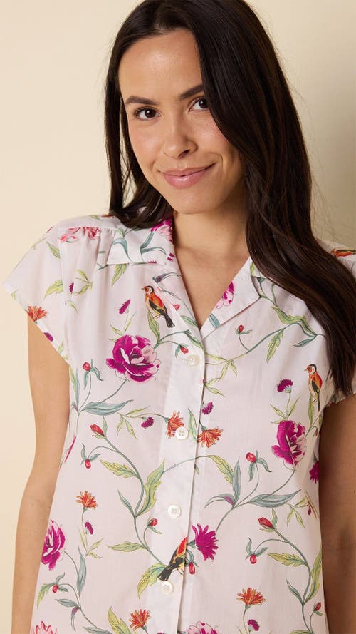 The Cat's Pajamas Luxe Pima Short Set