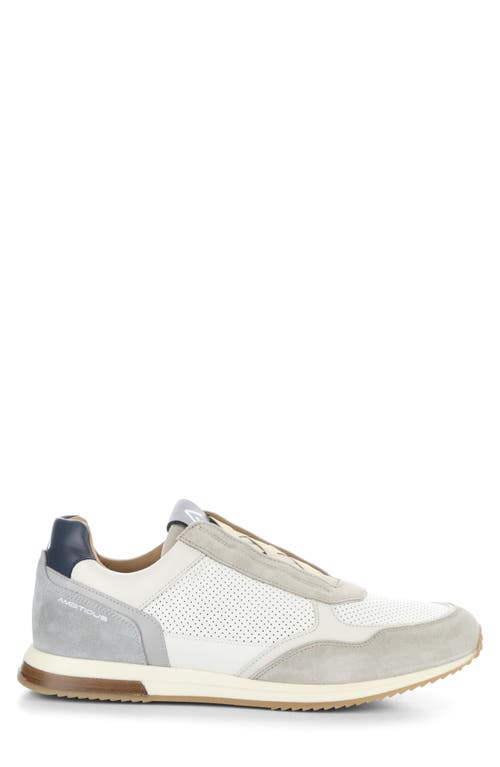 Ambitious 13956 Low Top Sneaker In Gray