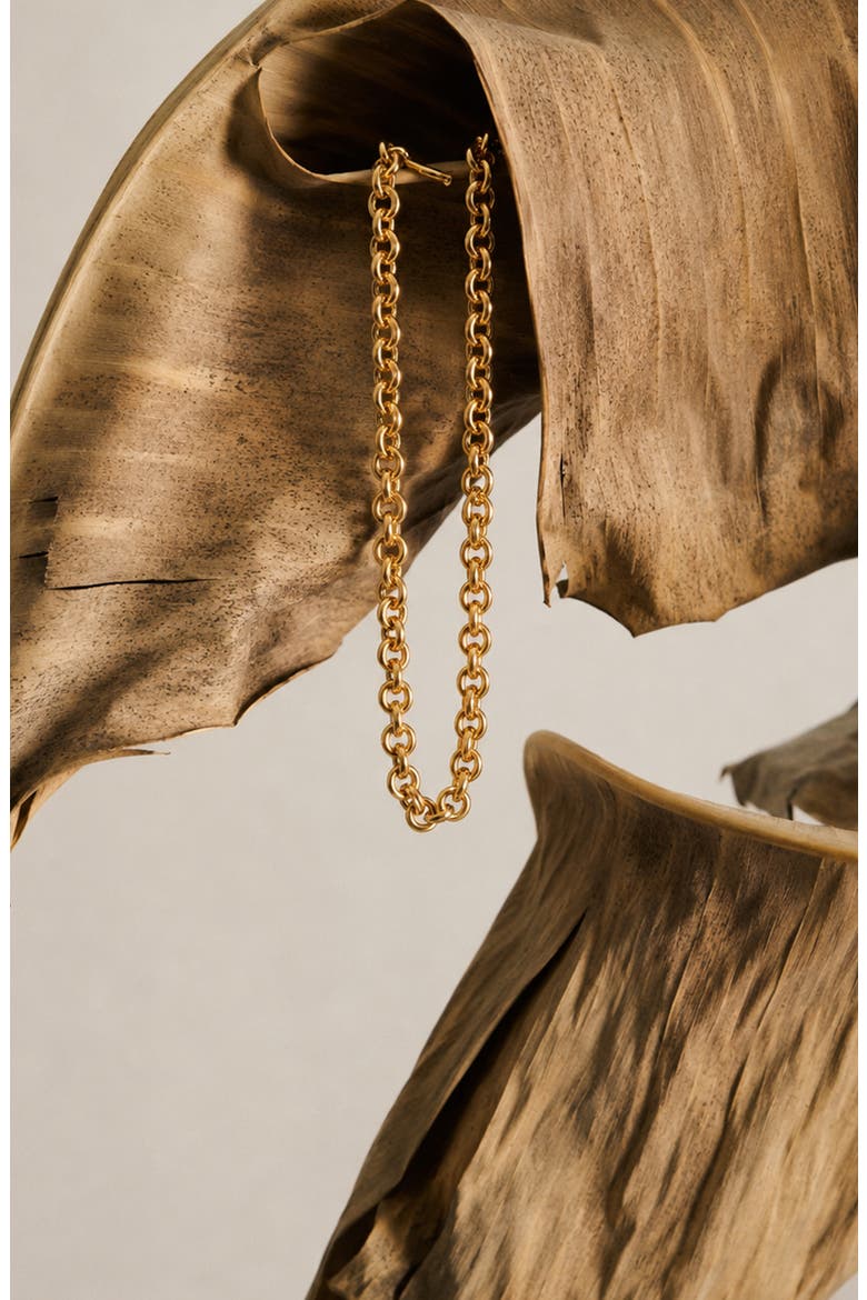 Oto Chain Necklace In Gold, Alternate, color, Gold