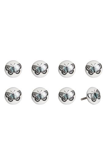 Shop Kinetic 8-pack Knobs In Multi