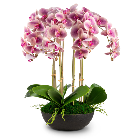Abella RealTouch Orchid Arrangement