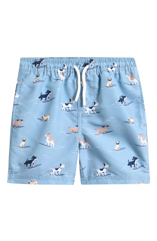 Petit Lem Kids' Surfing Pups Print Swim Trunks In Blue
