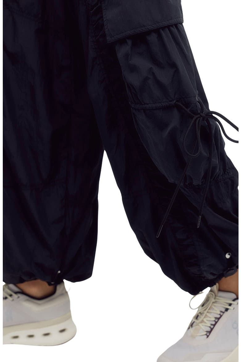 Alpine Lined Pants, Alternate, color, BLACK