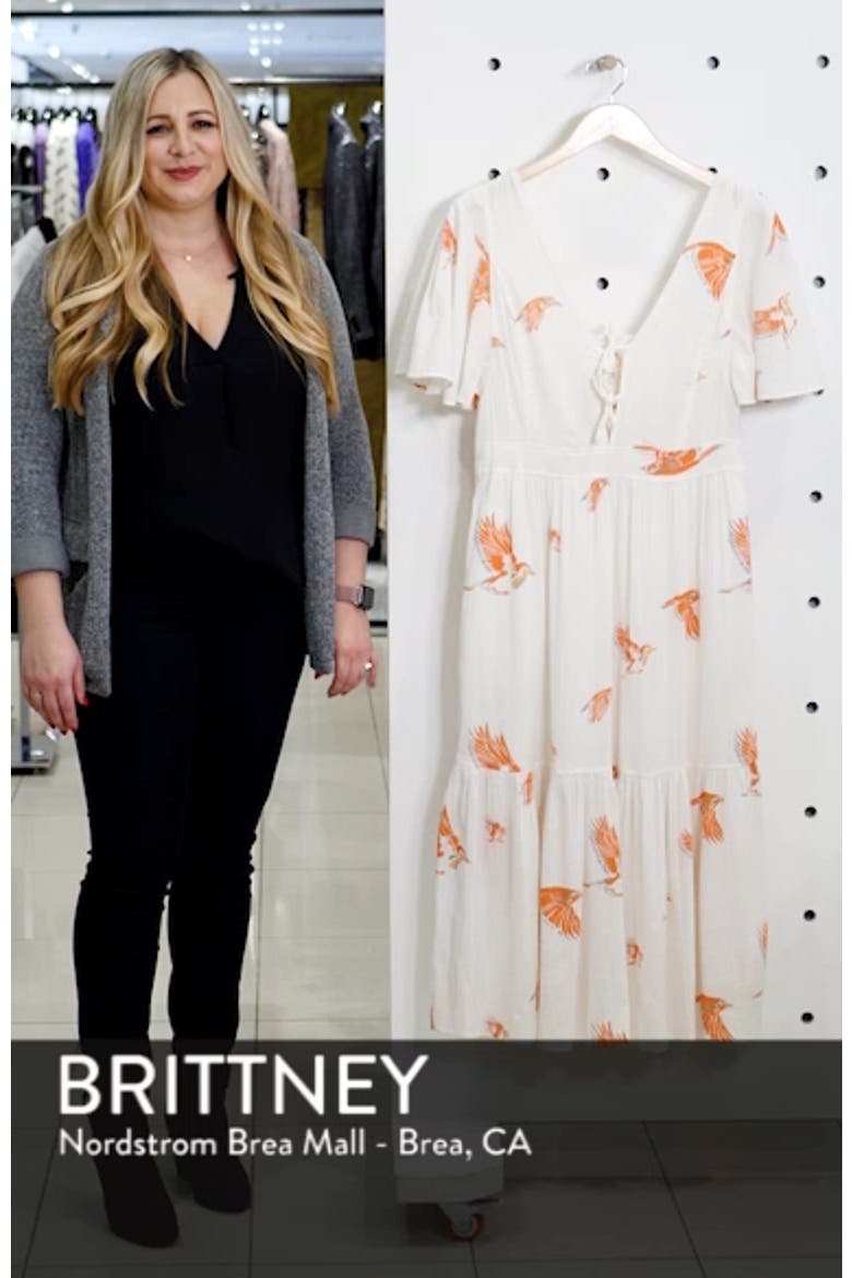 Bird Print Gauze Dress video