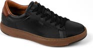 Anthony Veer Paul Sneaker