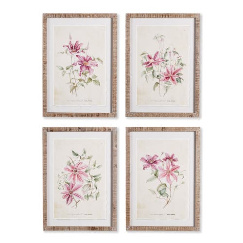 Napa Home & Garden Pink Clematis Prints Set Of 4
