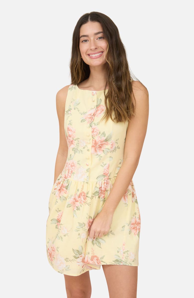 Blu Pepper Floral Sleeveless Drop Waist Minidress, Alternate, color, Butter Yellow Multi