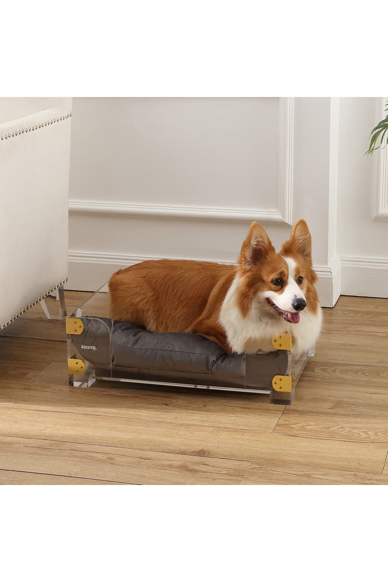 Haines 21.5" x 15.25" Small/Medium Modern Lucite Velvet Pet Bed with Washable Cushion, Alternate, color, Dark Gray/Clear/Brass Gold