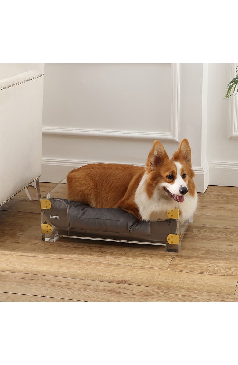 The Licker Store Haines 21.5" x 15.25" Small/Medium Modern Lucite Velvet Pet Bed with Washable Cushion, Alternate, color, Dark Gray/Clear/Brass Gold