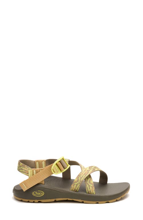 Chaco Z Cloud Sandal