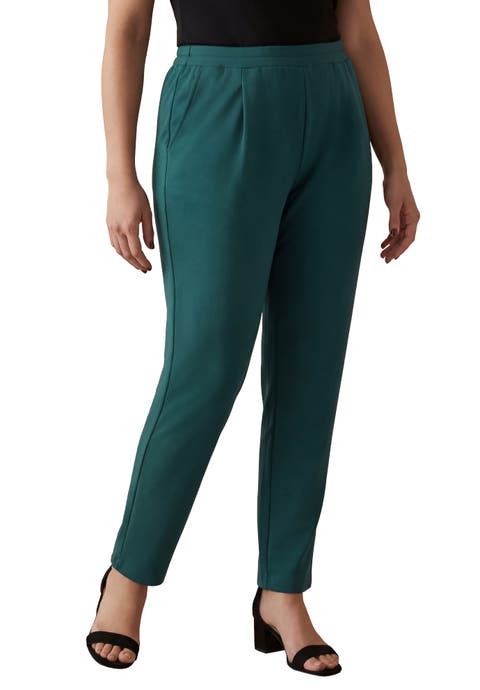Stretch Knit Crepe Straight Leg Pants