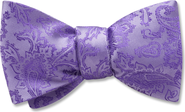 Beau Ties of Vermont Pachelbel Bow Tie