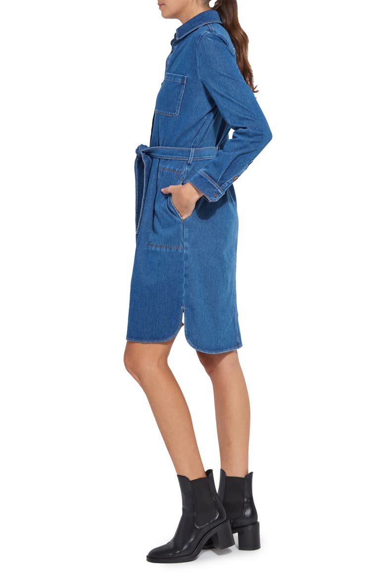 Schiffer Long Sleeve Stretch Cotton Chambray Shirtdress, Alternate, color, MEDIUM BLUE