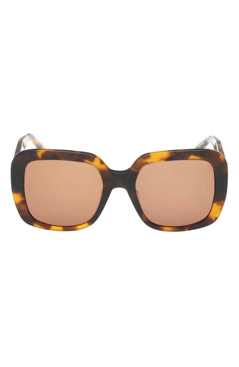 ABERCROMBIE & FITCH 55mm Square Sunglasses, Main, color, Dark Havana / Brown